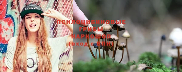 не бодяженный Арсеньев