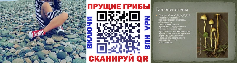 дарк нет формула Усинск Псилоцибиновые грибы мухоморы